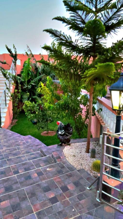 Riad Dar Salam Hotel อกาดีร์ ภายนอก รูปภาพ